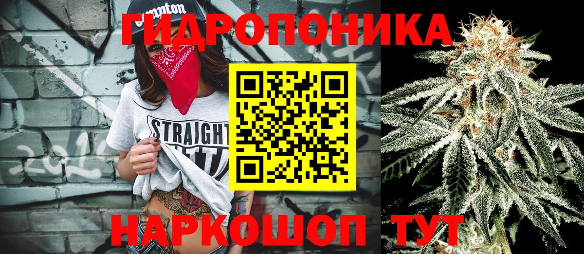 Марихуана Ganja  Бошки Шишки THC 21%  Бошки марихуана VHQ  Богородск  Вход с VPN  Каннабис конопля 